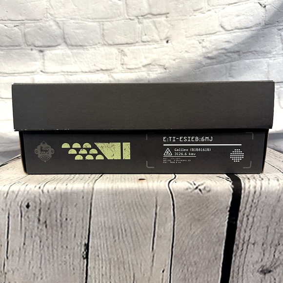 Destiny x Palladium Boots - Picture 9 of 11